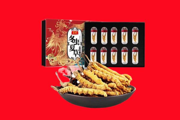 东莞回收虫草.jpg